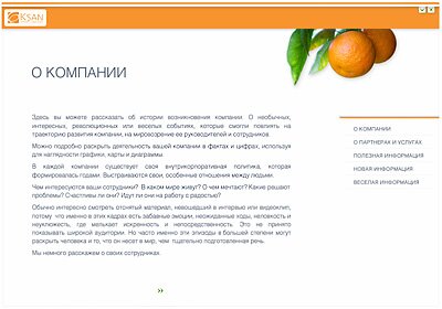 Скриншот презентации КСАН-Лайт