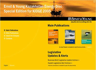 Мультимедийная оболочка для документов «Ernst & Young»