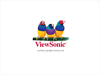   ViewSonic